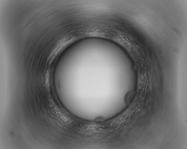 X0000111600098200907161601