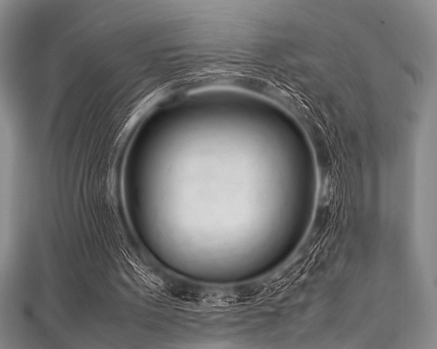 X0000111600099200907161601