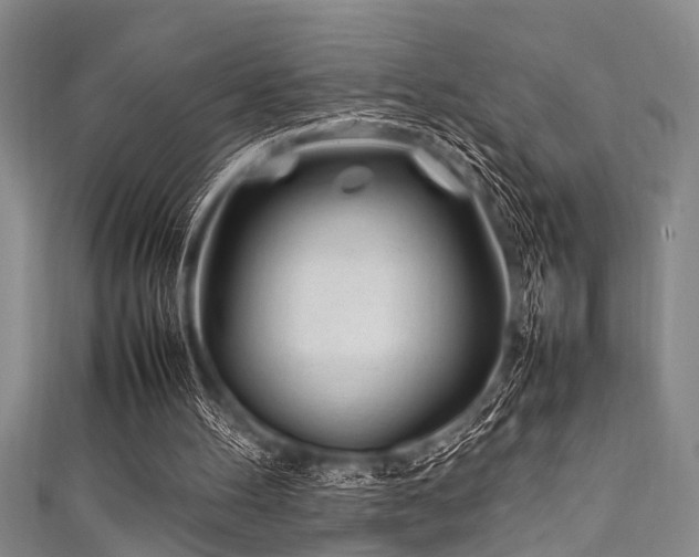 X0000111600100200907161601