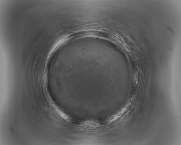 X0000111600101200907161601