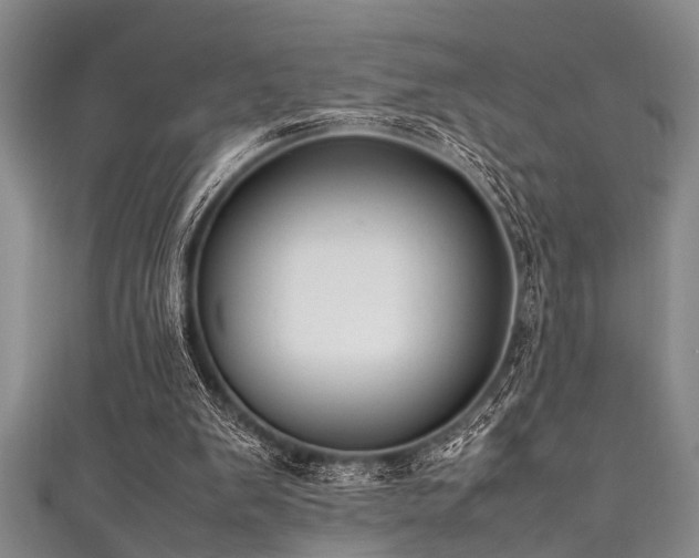 X0000111600103200907161601