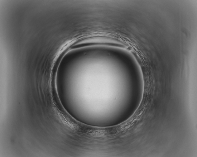 X0000111600104200907161601