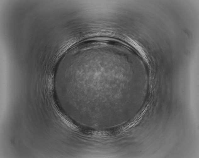 X0000111600105200907161601