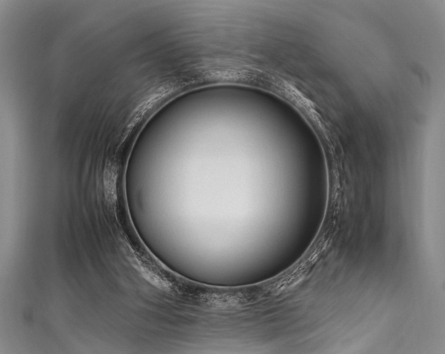 X0000111600106200907161601