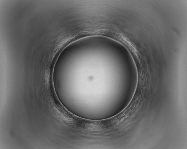 X0000111600107200907161601