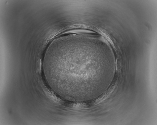 X0000111600109200907161601