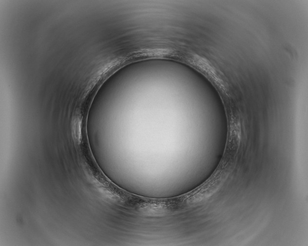 X0000111600110200907161601