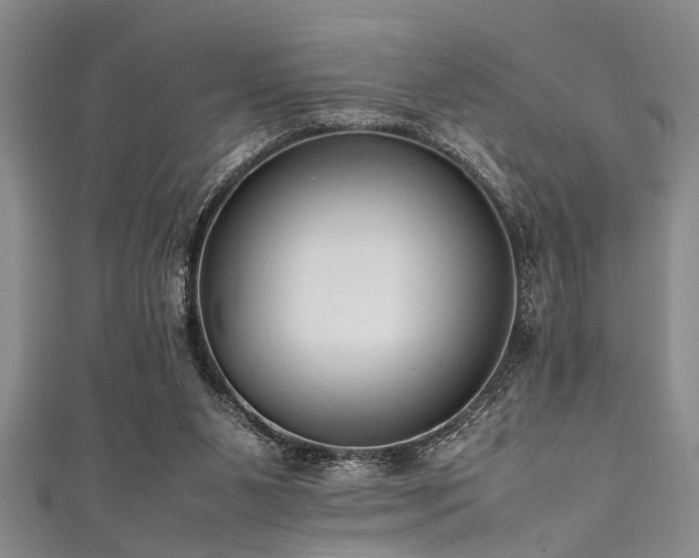 X0000111600111200907161601