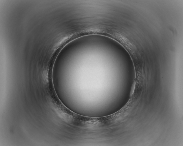 X0000111600112200907161601
