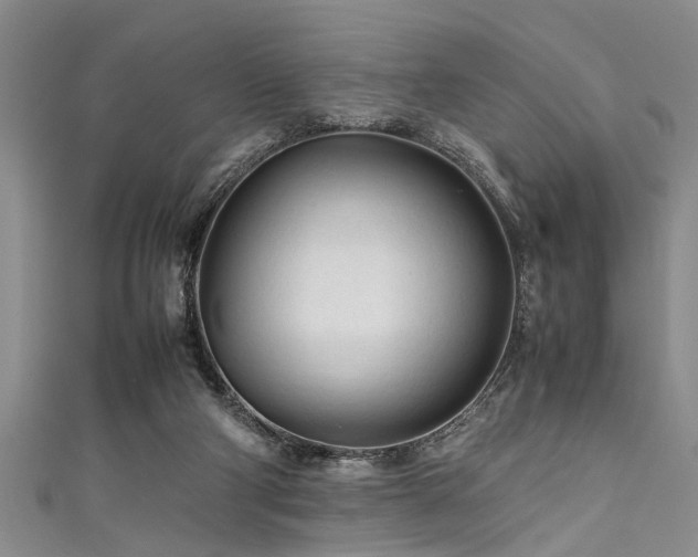 X0000111600114200907161601