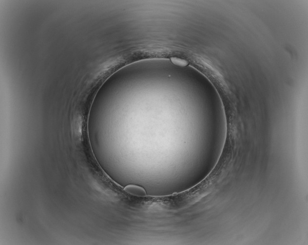 X0000111600115200907161601