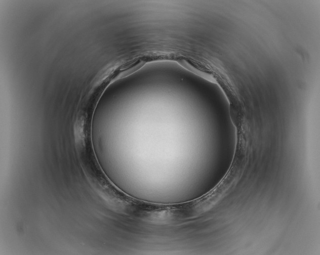 X0000111600116200907161601