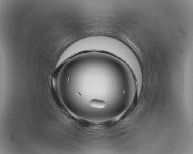 X0000111600117200907161601