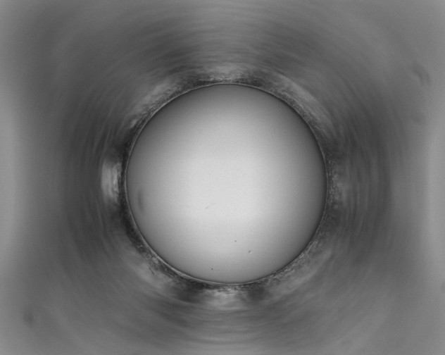 X0000111600118200907161601