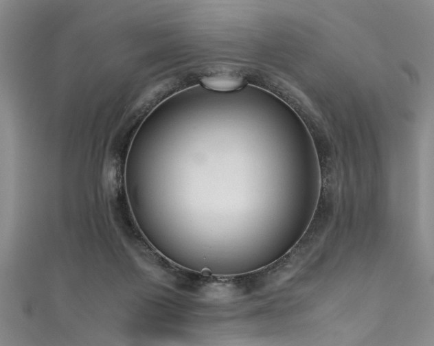X0000111600119200907161601