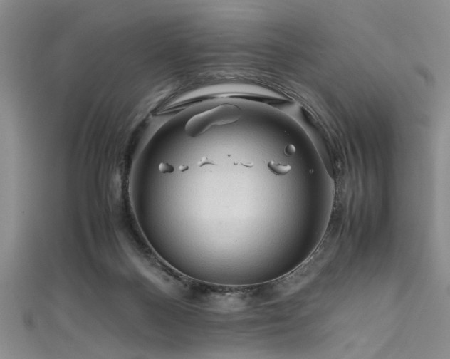 X0000111600120200907161601