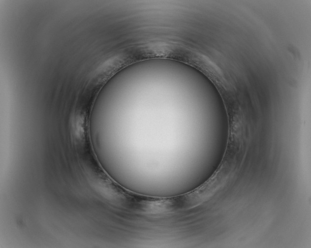 X0000111600122200907161601