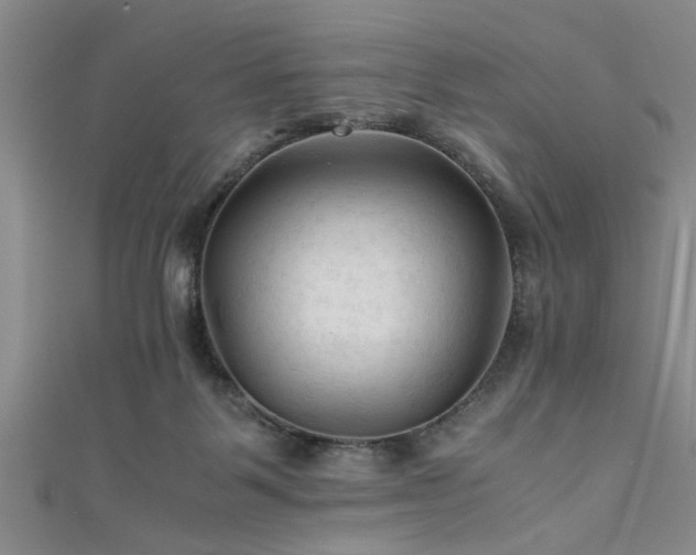 X0000111600123200907161601