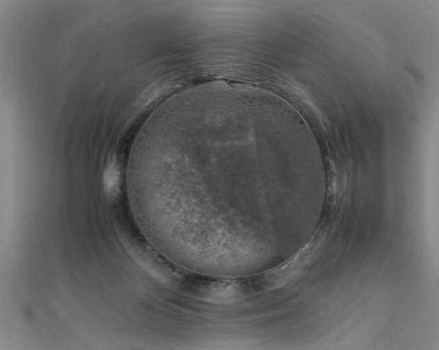 X0000111600124200907161601