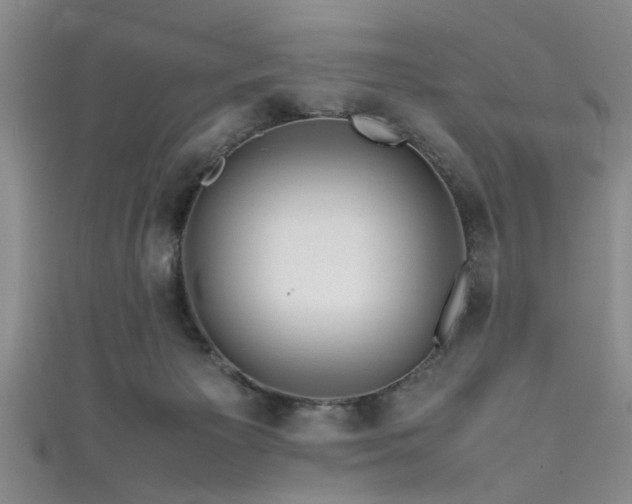 X0000111600125200907161601