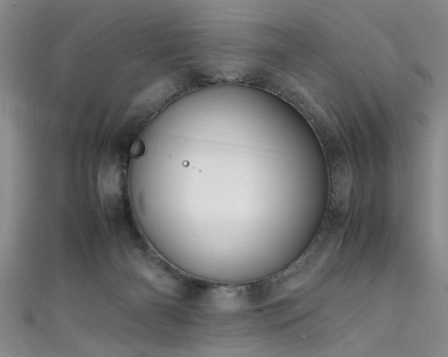X0000111600126200907161601