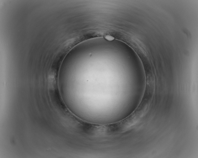 X0000111600127200907161601