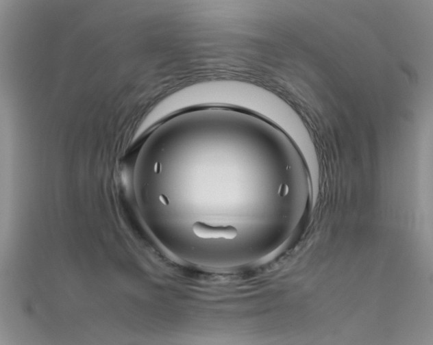 X0000111600129200907161601