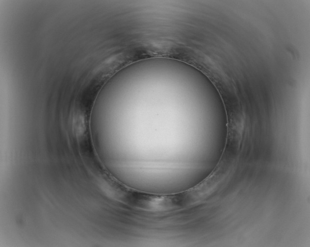 X0000111600130200907161601