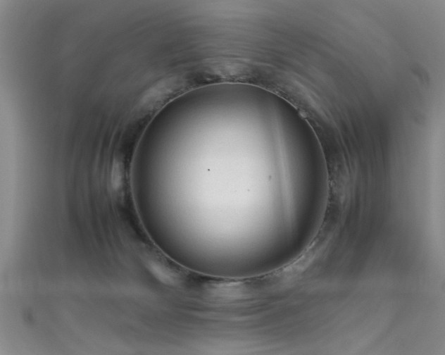 X0000111600132200907161600