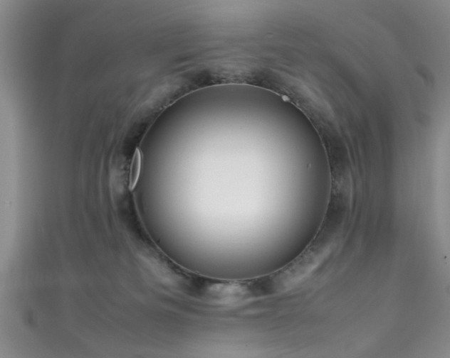 X0000111600133200907161600