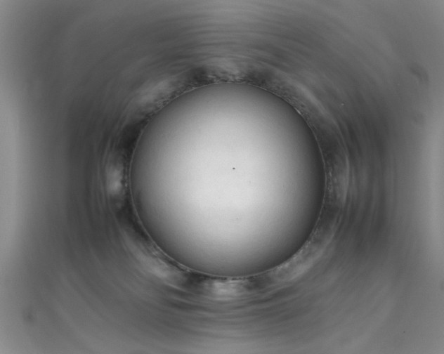 X0000111600134200907161600