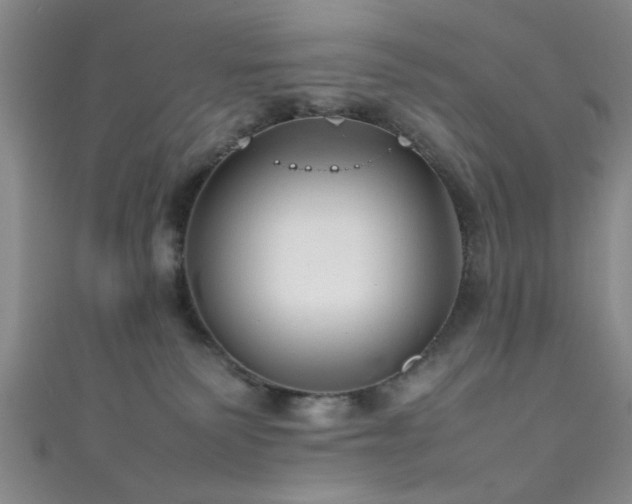 X0000111600135200907161600