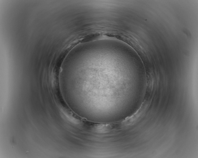 X0000111600136200907161600