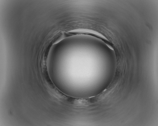 X0000111600137200907161600