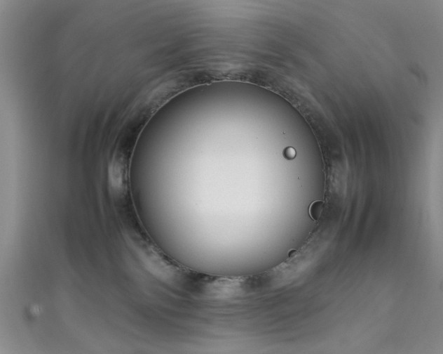 X0000111600138200907161600