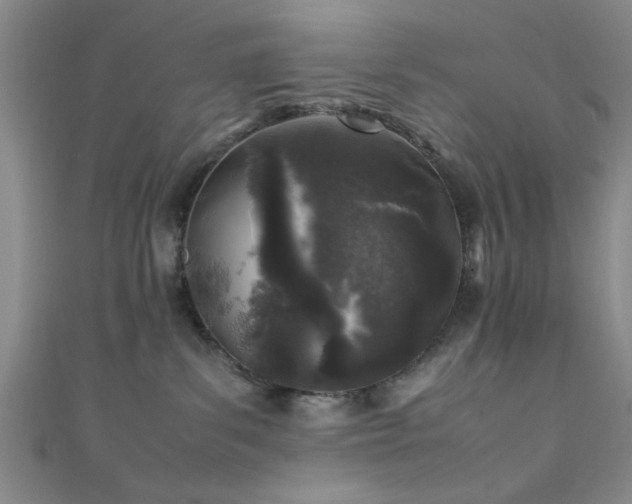 X0000111600139200907161600