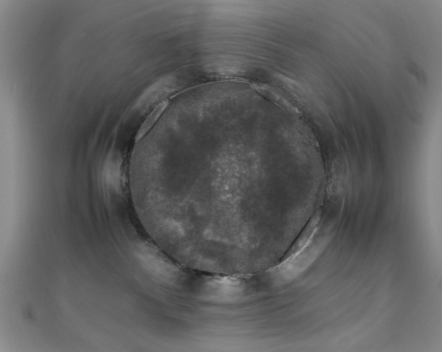 X0000111600140200907161600