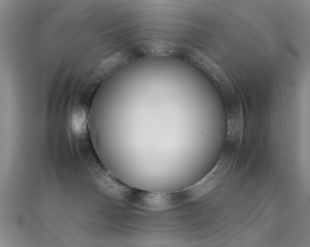X0000111600142200907161600
