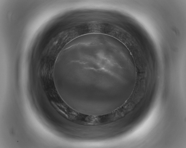 X0000111600143200907161600