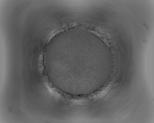 X0000111600144200907161600