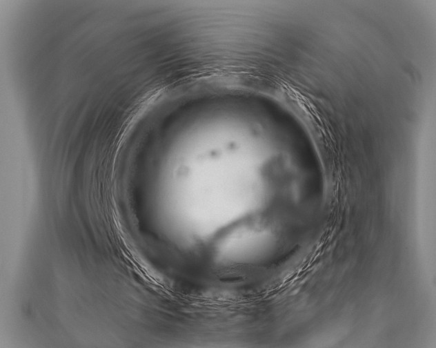 X0000111600145200907161600