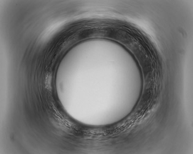 X0000111600146200907161600