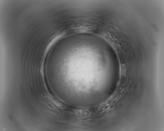 X0000111600147200907161600