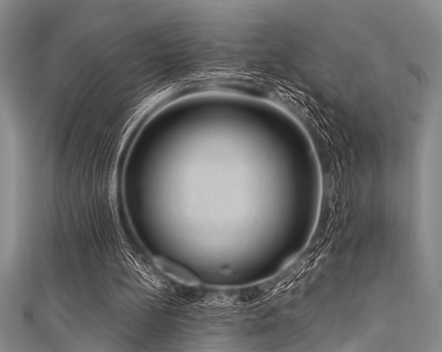 X0000111600148200907161600