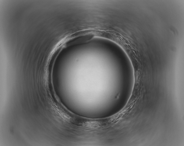 X0000111600150200907161600