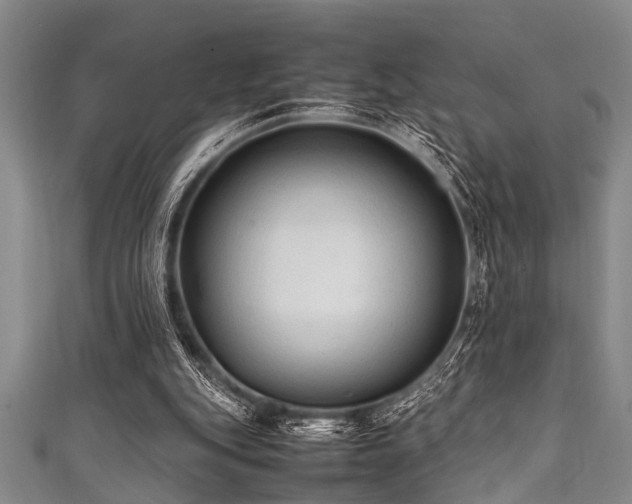 X0000111600151200907161600