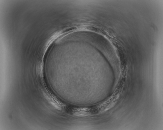 X0000111600152200907161600