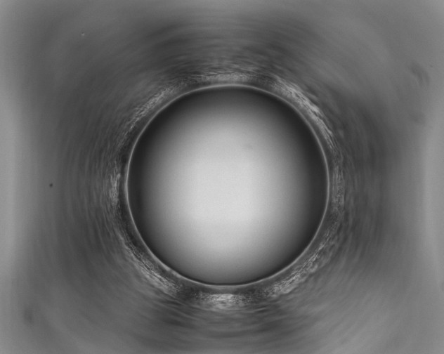 X0000111600153200907161600