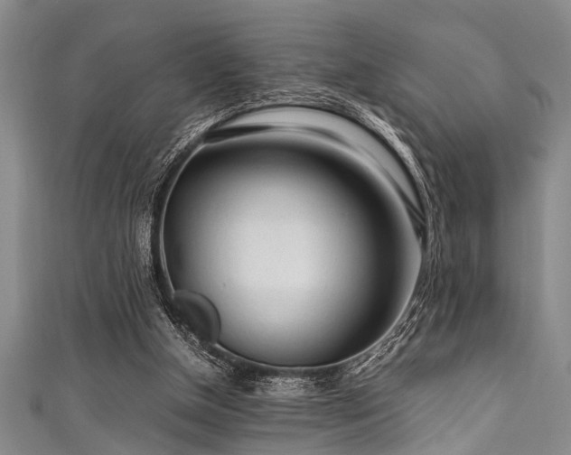 X0000111600154200907161600