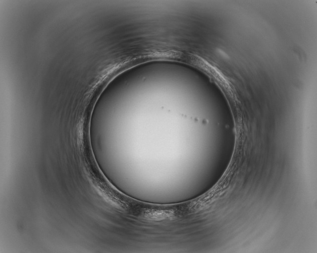 X0000111600155200907161600